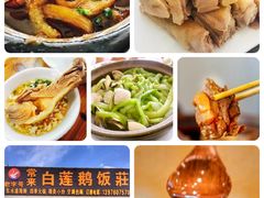 -常来老白莲鹅饭店(老城店)