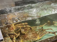 -甄御•海鲜新青岛菜(麦岛店)