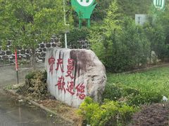 -内乡宝天曼生态旅游区