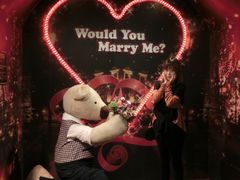 泰迪熊博物馆-济州岛泰迪熊博物馆