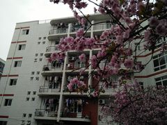 -西北农林科技大学(北校区)