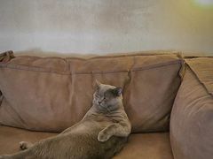 -Me Coffee下午茶艺术空间