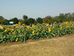 android_upload_pic-庐州太太(双岗店)