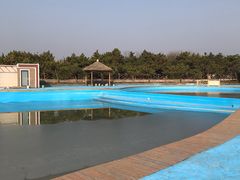 -日照海滨国家森林公园