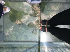 -梦幻奥陶纪景区