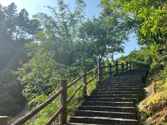 -广州白江湖森林公园