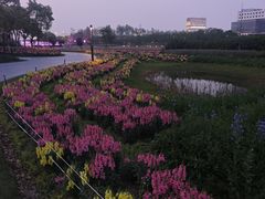 -春花秋色城市公园
