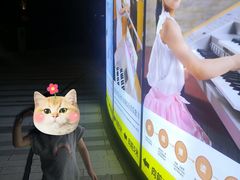 -雅马哈音乐中心 钢琴双排键鼓吉他(静安大融城店)