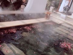 -苏州湾王焰温泉度假酒店