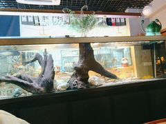 -阿泽料理
