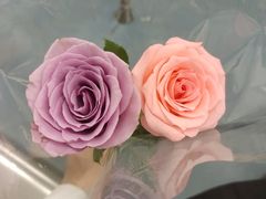 -循礼门鲜花花市(武汉循礼门店)