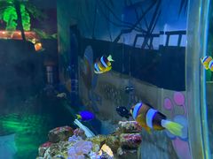 -太平洋海底世界