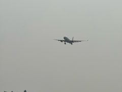 -空港花田景区