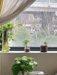 -尚艺造型.剪烫染.接发