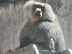 -青藏高原野生动物园