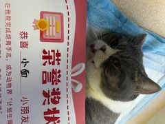 -瑞派宠物医院·内科·软组织·绝育中心(沈阳八纬路分院)
