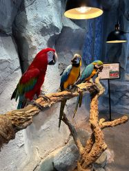 -Zoolung Zoolung动物主题公园(海信广场店)