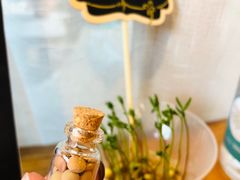 -饵块食光·云南有机手作饵块