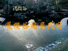 -贵州百里杜鹃风景名胜区