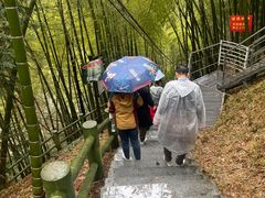 -藏龙百瀑风景区