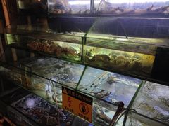 -麻屋手抓海鲜(防城港总店)