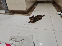 -一鸣真鲜奶吧(星光广场店)