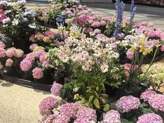 -上海长风大悦城