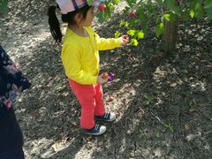 -万源龙顺度假庄园生态观光园