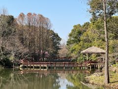-上海滨江森林公园