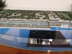 -大湾区中央湿地公园