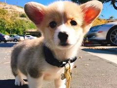 -1点点(大连路店)