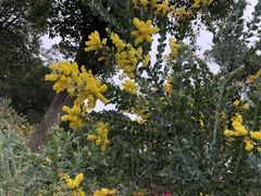 -金鸡山公园