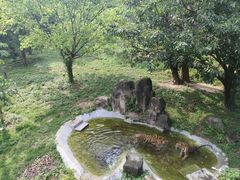 -深圳野生动物园