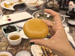 -食德喜·阳山鸡王食研基地