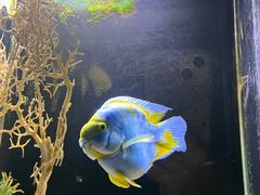 -邯郸海洋世界