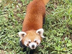 -杭州野生动物世界