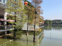 -鹿鸣酒家(越秀店)