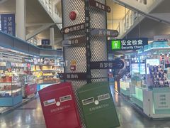 -厦门高崎国际机场-T3航站楼
