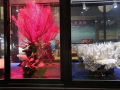 -游龙石文化科普馆