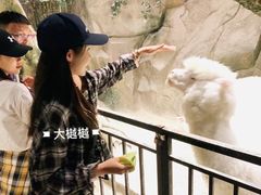 -zoonana室内动物园(东方福来德店)