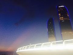 -演武大桥观景平台