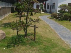 -呼吸森林·生态农庄农家乐私房菜