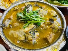 黄甲鱼煲-燕江楼(燕东店)