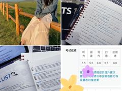-新航道雅思托福·留学·考研培训(人民广场校区)