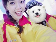 游乐设施-世界之窗阿尔卑斯冰雪世界