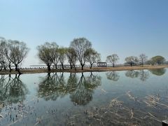 -苏州太湖湖滨国家湿地公园