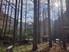 -天明山温泉大酒店