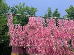 -丽泽山庄·生态怀柔菜·虹鳟鱼(红螺寺店)