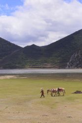 -纳帕海依拉草原