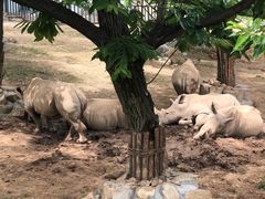 -西安秦岭野生动物园